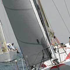 40 Feet | Medium Cenova (Pentex)