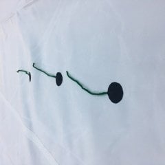 40 Feet | Dacron Sarma Cenova (Furling Genoa) - Beyaz