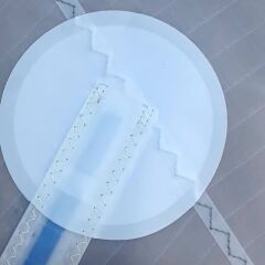 Optimist | Antrenman Yelkeni - Millenium Black (43kg+)